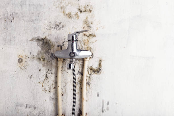 Best Mold Testing  in Fairview, OR
