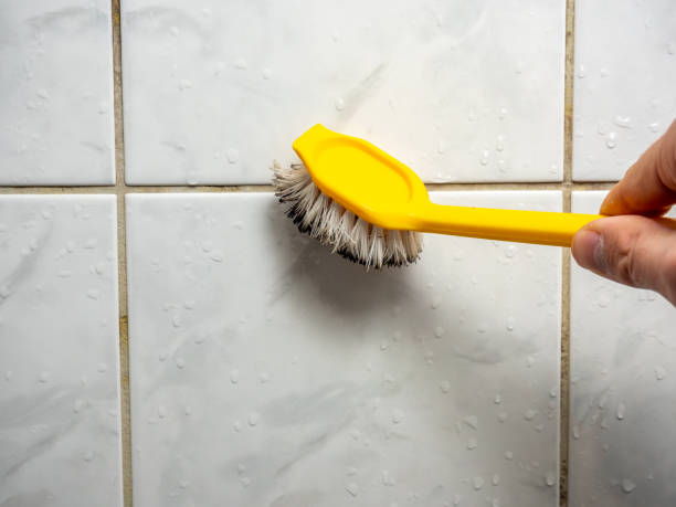 Best Affordable Mold Removal  in Fairview, OR