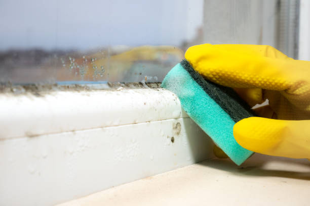 Best Mold Testing  in Fairview, OR